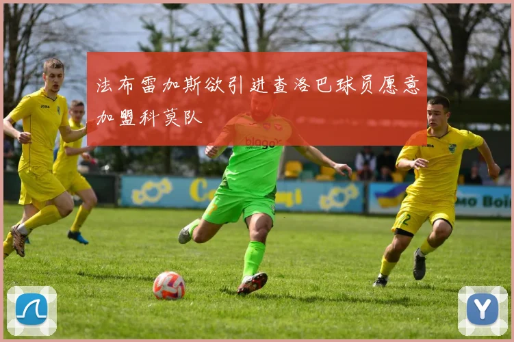 法布雷加斯欲引进查洛巴球员愿意加盟科莫队