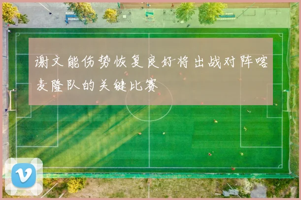 谢文能伤势恢复良好将出战对阵喀麦隆队的关键比赛