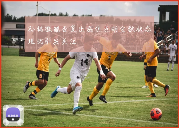孙铭徽能否复出成焦点胡金秋状态堪忧引发关注